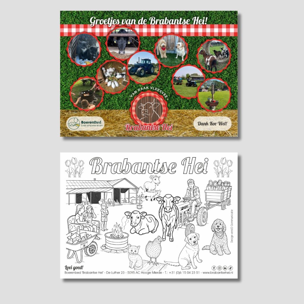 Brabantse hei - Ansichtkaart, Illustratie | Portfolio versID Communicatie